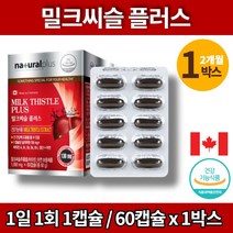 코스트코 건강한 간 리버케어 간에좋은 밀크씨슬 함량 130mg 카르두스 마리아누스 SILYMARIN 간비타민 실리마린 간건강, 1박스