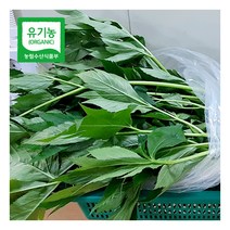[농부마음] 친환경 유기농 신선초 1kg, 상세 설명 참조