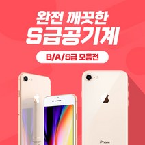 애플 아이폰8 공기계, B급 실버, 아이폰8 256기가