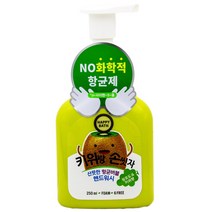 해피바스 키위랑 손씻자 버블 핸드워시 250ml, 단품