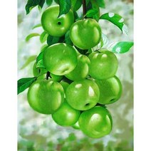 대진 보석십자수 40X80 50X40 사이즈 대형 금전운 보석 십자수, new, 61 금전을 부르는 익은 사과 40X50