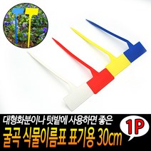 굴곡 식물이름표 표기용 30cm
