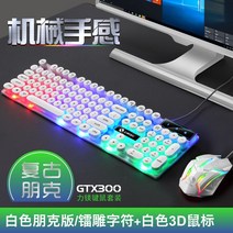 게이밍 키보등 컴퓨터 자판기 화이트 조약돌 게임용 피시방 개발자 코딩용, 단일사이즈, GTX300 화이트