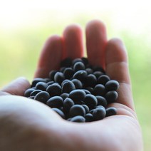 소화농장 2022년 햇잡곡 1kg 서리태 율무 찰수수 팥 강낭콩, 찰수수1kg