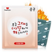 해피데이 따뜻해 포켓용 핫팩 100g, 300개