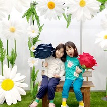 데이지 자이언트 플라워 포토존 만들기 전시 홍보 행사 임대 대여 렌탈