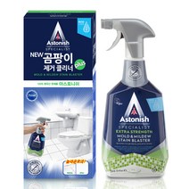 아스토니쉬 곰팡이 클리너 스프레이, 750ml, 10개입