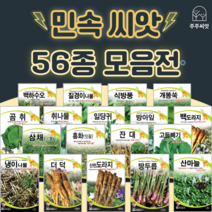 민속채소 씨앗 약초종자 도라지 더덕 냉이 잔대 고들빼기 땅두릅 산마늘 곤드레 취나물 씨앗, 50. 산수유 100립
