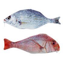 참돔/은어 생선 필통 + 사은품 증정, 은어