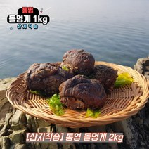 통영 멍게 활멍게 깐멍게 돌멍게 멍게무침 멍게비빔밥, 선택4. 돌멍게 2kg