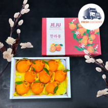 [꿀당도] 프리미엄 한라봉 제주한라봉 선물세트 선물용 가정용, 선물용 3kg (9과수내외 / 대과)