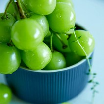 고당도 샤인머스켓 추석 선물세트1.2kg(특)3입내외