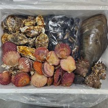 모듬 캠핑 집에서 조개구이 조개찜 술찜 배달 택배 2kg 4kg