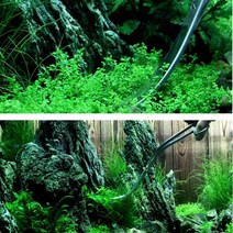 FISH 수초 가위 웨이브형 곡선형 붕어마름 자르기, 1수초가위-곡선형