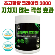 웰리즈 크레아틴 프리미엄 300g 모노하이드레이트 헬스보충제, 1개