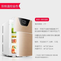 냉동고 미니 소형 냉동고듀얼 사용 차가운 Frigidaire 도어 냉장고 전기 가정용 렌탈 20L 주방, 04 Dual core silver