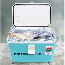 기포기 장착 신선보관 낚시 전용쿨러 10L 인터맥스아이스박스 트렁크마스터쿨러 아이스박스48L 미니쿨러