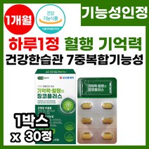 뇌영양제 플라보놀 배당체 은행잎추출물 기억력 두뇌건강 혈행건강 복합기능성 징코플러스 기억력 혈관 영양제 하루1정 집중력 혈액순환 프리미엄 징코민 은행잎 기억력 영양제, 30정, 1개, 30정