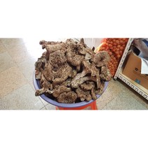 자연산 능이버섯 (국내산 특품 생능이버섯 절편 냉동 ) 700 g, 1