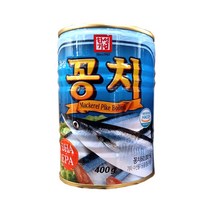 (무)한성 꽁치캔400gX10개, 10개