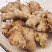 산지직송 충남 서산 전영운님의 토종생강 1kg, 단품없음
