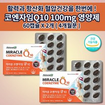항산화 코엔자임 q 10 100mg 높은 혈압 낮추는 심장 혈압에 좋은 식품 고지혈증 수치 증상 활성산소 제거 항산화 보조제 비타민C 활력 비타민 코엔자임 큐텐 영양제 60캡슐, 2개
