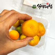 식탐대첩 제주 서귀포 하우스감귤 500g, 단품