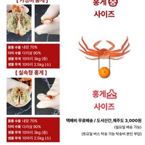 동해안 고급홍게 10마리 3kg 해각포 연지홍게 대게 박달홍게 홍게살x648Xb, 1, 본상품선택