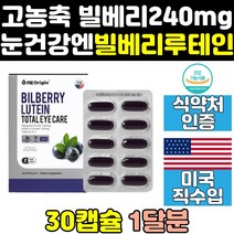 눈 건강 안토시아닌 빌베리 루테인 비타민a 영양제 정 직구 안토시안 플러스 효과 효능 제품 아이 케어 프리미엄 미국산 골드 미국 고농축 고함량 홈쇼핑 고용량 대용량