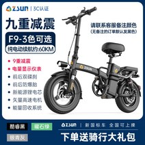 40만원대 독일 전동 접이식 자전거 배달용 출퇴근 팔당댐, 48V, N.F9-충격흡수-15AH 약 60km