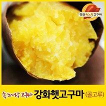 2022년 강화속노랑고구마 강화도호박고구마 햇고구마 [중간크기] 5kg 10kg 선택., 1박스, 선택7. 혼합(골고루) 5kg