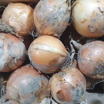 햇양파 자색양파 최상품 특상사이즈 2kg 4kg 9kg 15kg 무안양파 반찬 양파즙, 자색양파 9kg 특상사이즈/최상품