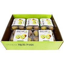 제주 골드키위 10팩(50~60과), 10개
