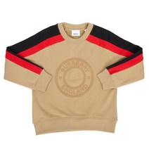 버버리 [버버리키즈] 로고 그래픽 RICKTON SWEATER 8053943 A7026 14Y 키즈 긴팔 맨투맨 티셔츠 (성인착용가능)