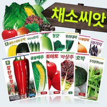 다농 채소 씨앗모음전 - 열매채소 뿌리채소 잎채소 쌈채소 고추 토마토 배추 무 상추 갓 파 부추 호박 가지 딸기 오이 멜론 여주 수세미 박 씨앗 종자, AH06=다농엇갈이배추씨앗30g!