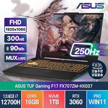 ASUS TUF Gaming F17 FX707ZM-HX037 인텔 12세대 i7-12700H RTX3060 윈도우11, FX707ZM, WIN11 Pro, 16GB, 1TB, 코어i7, 오프 블랙