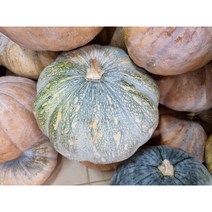 (홍열팜)정직한 늙은 호박즙 유기농호박 통째로 갈아만든 호박즙 110ml 다이어트 붓기제거, 150포