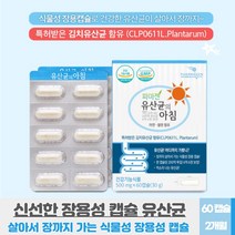 프로바이오틱스 프락토바실러스 플란타럼 불가리쿠스 아연 특허받은 김치 유산균 함유 장용성 알약형태 프로 바이오 스틱 캡슐, 60 캡슐 X 2개