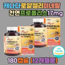 식약처 플라보노이드 꿀벌 미네랄 프로폴리스 로얄 젤리 밀납 천연 봉교 항균작용 아미노산 지방산 아세틸콜린 퀘세틴 아르테필린C 테르펜 캐나다 직수입 고함량 항산화 가을철 환절기 면역력 높이기 개선 갱년기