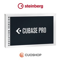 Steinberg Cubase Pro 12 EDU 큐베이스 프로12 교육용