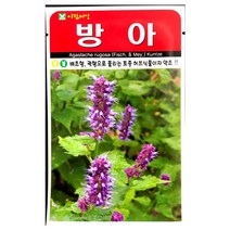 방아씨앗 1000알 방아 배초향 곽향 씨앗 종자