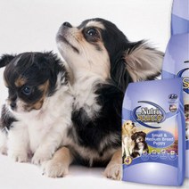 1살미만 강아지 미국산 작은알갱이사료 고급 애완견사료 영영 개밥