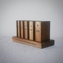 고기두께 모형, 고기두께 모형JM-706
