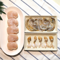 키조개 (전라남도 여자만 득량만 관자살 날개살 5개묶음), 키조개5미/관자살날개살꼭지살-1set