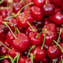 워싱턴 미국센 캘리포니아 칠레산 생 체리 1kg, 2kg