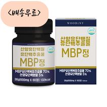 우디니 산양유단백질 유단백추출물 뼈엔 엠피비 MBP개입 600mg x 60개입, 1개, 60개