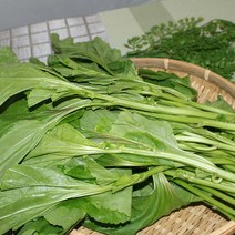 아욱 4kg/국내산/최상품/팜웨이, 아욱 4kg
