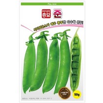 아시아종묘 콩씨앗종자 준(500g)