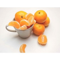 <도도> 싱싱한 제주 감귤 5kg 박스(2L대짜)” class=”wr-img”></a></div>
</div>
</div>
</div>
<div class=