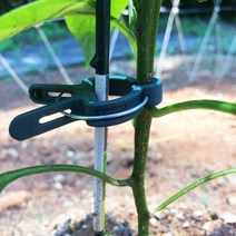 원예집게 고정 끈 타이 오이 호박집게 고추클립 꽃 모종 줄기 접목 클립, 소(20개)